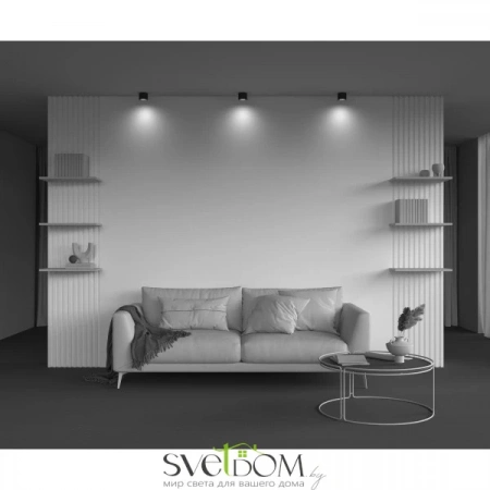 Потолочные светильники Maytoni C106CL-GX53-B от Магазина Svetdom.by