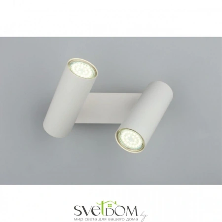 Настенные светильники APL.004.01.02 Aployt | Svetdom.by