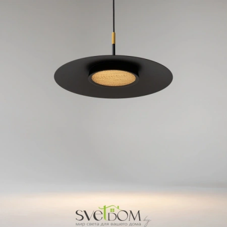 Подвесные светильники Maytoni MOD041PL-L15B3K1 от Магазина Svetdom.by