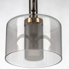 Люстра на штанге Citilux ELAN CL241171 CITILUX