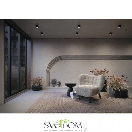 Потолочные светильники Maytoni C009CW-L12B от Магазина Svetdom.by