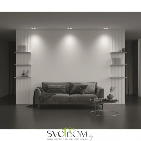 Встраиваемые светильники Maytoni DL033-2-02W от Магазина Svetdom.by