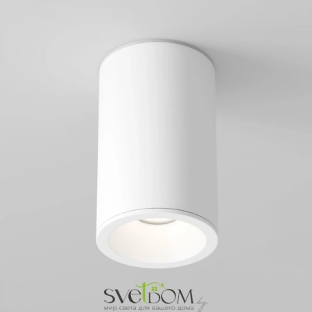 Потолочные светильники Maytoni C029CL-01-S-W от Магазина Svetdom.by