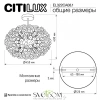 CITILUX EL322CA08.1 Betsy Люстра CITILUX
