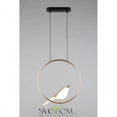 Фото Подвесные светильники Aployt APL.822.06.10 Подвесные светильники Aployt APL.822.06.10 от Магазина Svetdom.by