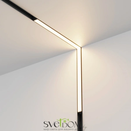 TR102-24W-DS-B Maytoni