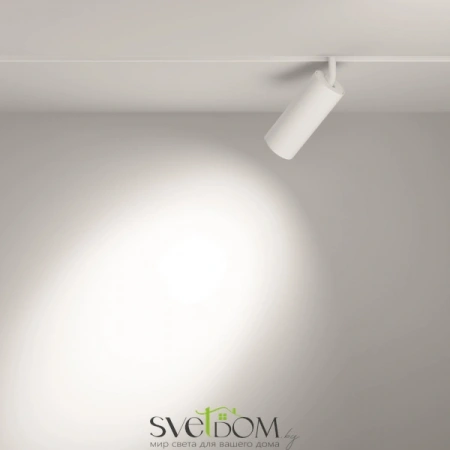 TR032-2-20W3K-S-W Maytoni