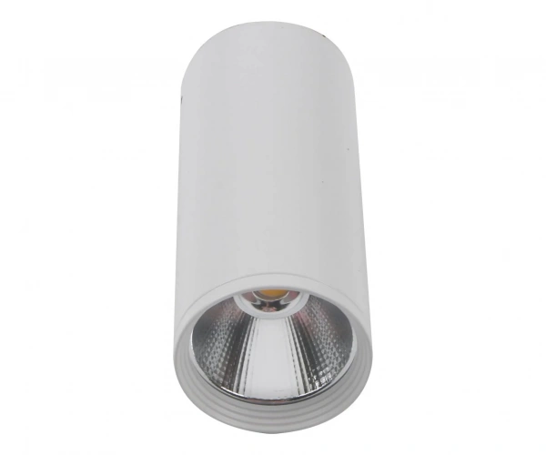 Потолочные светильники Kink Light 08570-12,01 от Магазина Svetdom.by