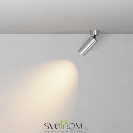 Потолочные светильники Maytoni C055CL-L12W2.7K-W-PT от Магазина Svetdom.by