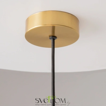 Подвесные светильники Maytoni MOD376PL-01G от Магазина Svetdom.by