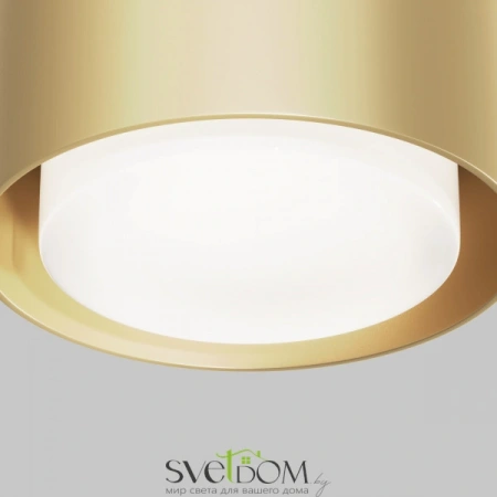 Потолочные светильники Maytoni C092CL-GX53-MG от Магазина Svetdom.by