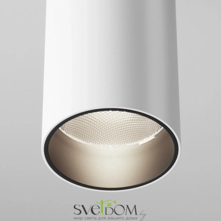 Потолочные светильники Maytoni C056CL-L12W4K-W-W от Магазина Svetdom.by