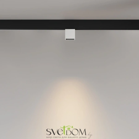 TR133-2-7W3K-W Maytoni