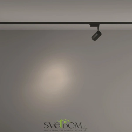 TR003-1-6W4K-S-B Maytoni