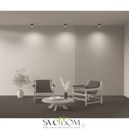 Потолочные светильники Maytoni C009CW-L12B от Магазина Svetdom.by