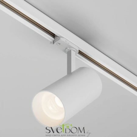 TR197-3-40WCCT-M-W Maytoni