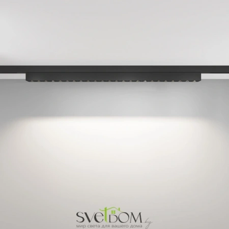 TR193-1-20W4K-M-B Maytoni