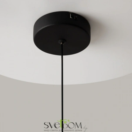 Подвесные светильники Maytoni MOD379PL-L6B3K от Магазина Svetdom.by