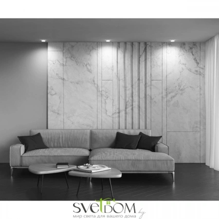 Встраиваемые светильники Maytoni DL046-01W от Магазина Svetdom.by