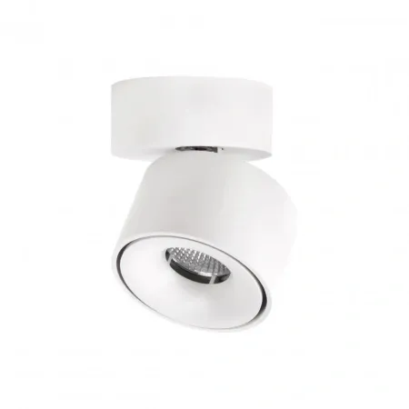 Накладные светильники CITILUX CL558010N от Магазина Svetdom.by