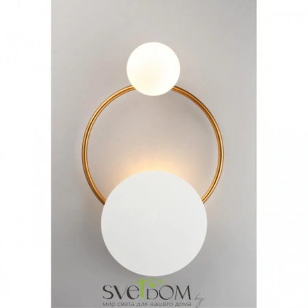 Настенные светильники APL.306.11.02 Aployt | Svetdom.by
