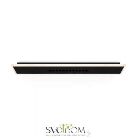 Потолочный светильник Freya FR6105CL-L40B Freya