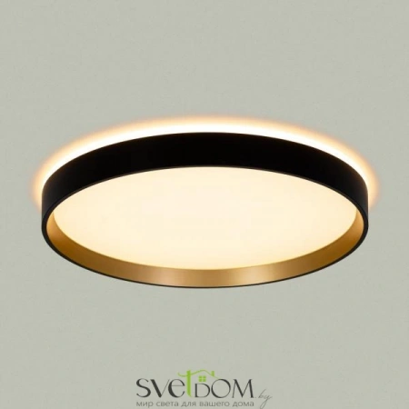 Накладные светильники CITILUX CL750321R от Магазина Svetdom.by