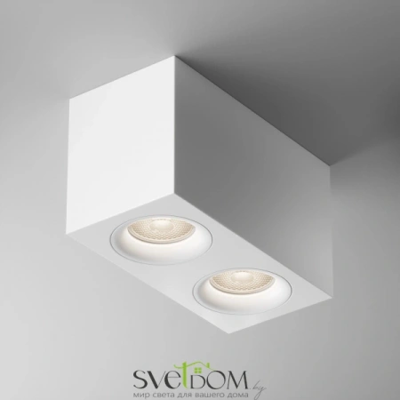 Потолочные светильники Maytoni C013CL-02W от Магазина Svetdom.by