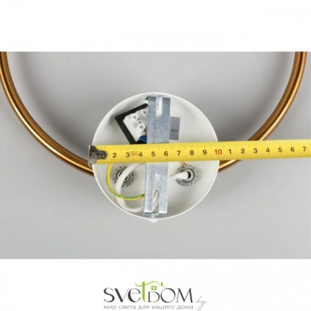 Настенные светильники APL.306.11.02 Aployt | Svetdom.by