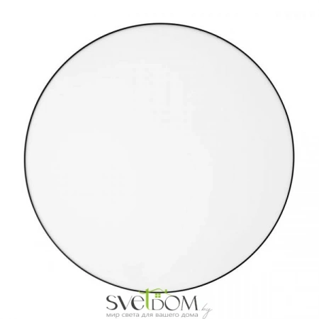 Накладные светильники CITILUX CL755491 от Магазина Svetdom.by