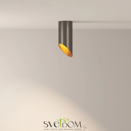 Потолочный светильник Technical C044CL-01-15GU10-B Maytoni