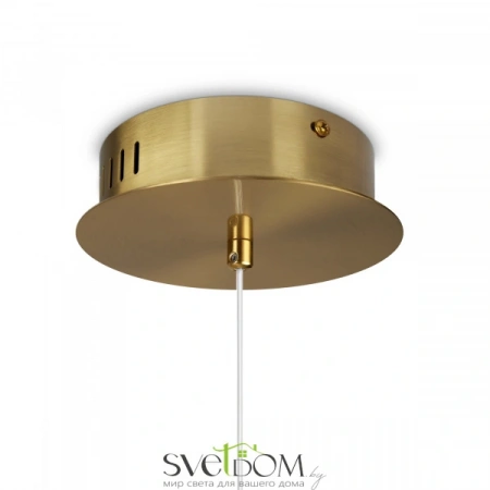 Подвесные светильники Freya FR5396PL-L13BS от Магазина Svetdom.by