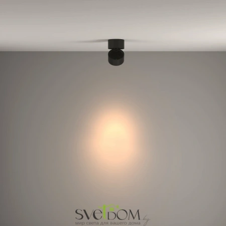 Потолочные светильники Maytoni C084CL-15W3K-B от Магазина Svetdom.by