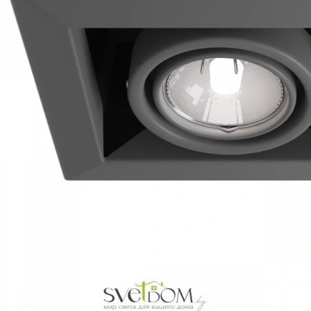 Встраиваемые светильники Maytoni DL008-2-02-S от Магазина Svetdom.by