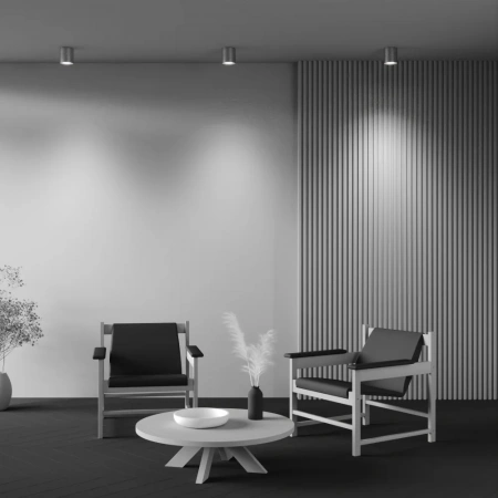 Потолочные светильники Maytoni C094-GU10-MG от Магазина Svetdom.by