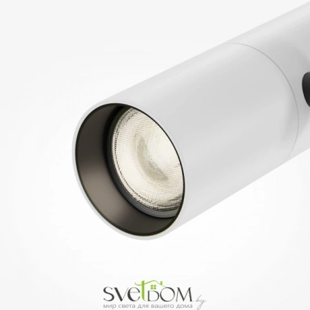 TR005-2-12W3K-BW Maytoni