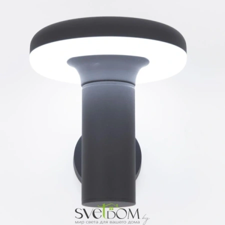 Citilux CLU01W LED Уличный настенный светильник Графит CITILUX