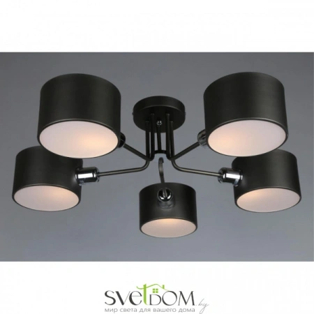 Люстры потолочныеOML-54507-05 Omnilux | Svetdom.by