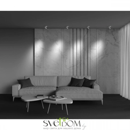 Потолочные светильники Maytoni C022CL-L7W от Магазина Svetdom.by