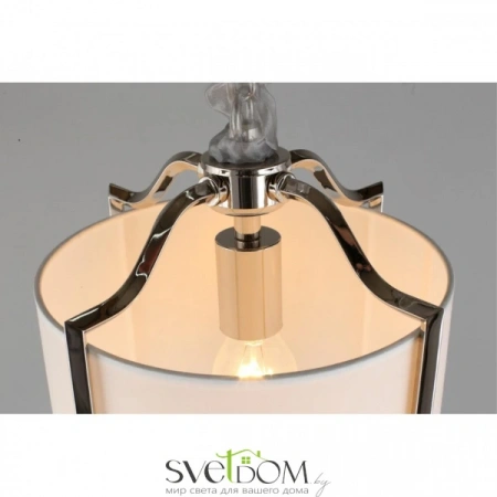 Подвесные светильники Aployt APL.727.06.01 от Магазина Svetdom.by