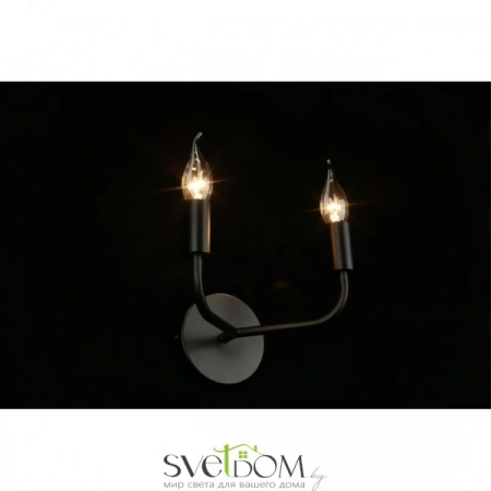 Настенные светильники APL.338.11.02 Aployt | Svetdom.by