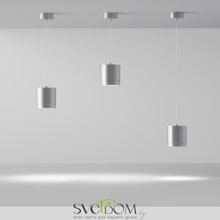 Подвесной светильник Maytoni P088PL-GX53-S Maytoni