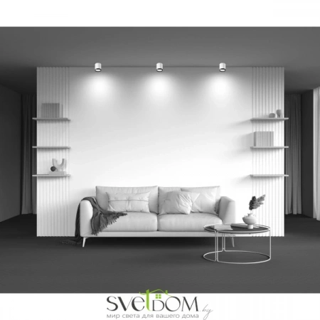 Потолочные светильники Maytoni C086CM-GX53-MRD-WB от Магазина Svetdom.by