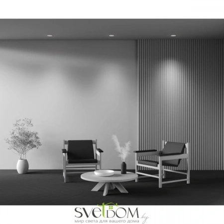 Встраиваемые светильники Maytoni DL097-GU10-W от Магазина Svetdom.by