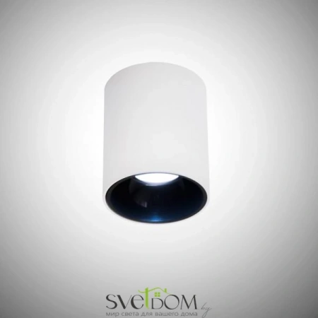 Накладные светильники CITILUX CL7440101 от Магазина Svetdom.by