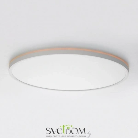 Накладные светильники CITILUX CL749500 от Магазина Svetdom.by