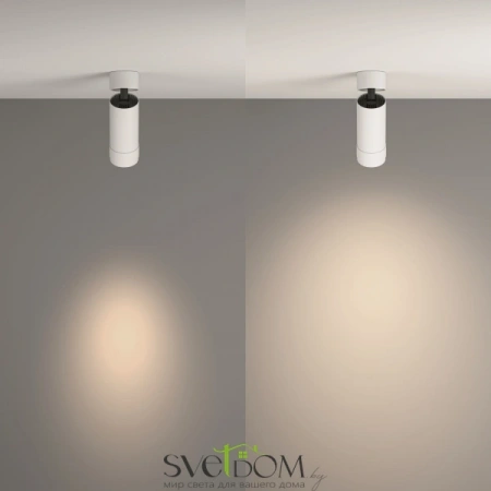 Потолочные светильники Maytoni C055CL-L12W4K-Z-W от Магазина Svetdom.by