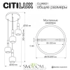 CITILUX CL249021 LASS Подвес CITILUX