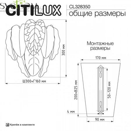 Бра CL328350 CITILUX | Svetdom.by