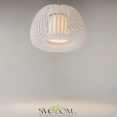 Подвесные светильники Maytoni MOD409PL-01W от Магазина Svetdom.by